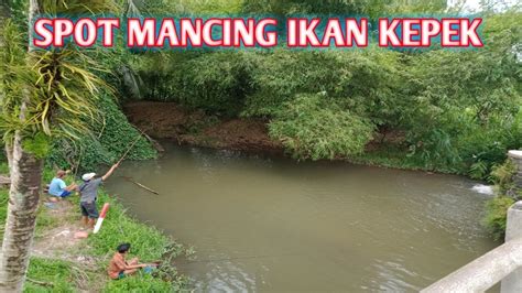 Spot ikan kepek paling jossjiss... #spotkepek #mancingkepek # ... - raincitystudios.com
