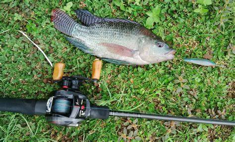 Spot mancing paling asyik dan berbagai macam ikan .. #fishing # ... - raincitystudios.com