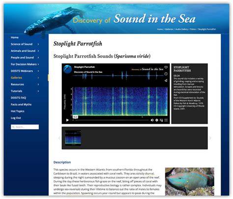 SPOTLIGHT Underwater Acoustics for All: Expanding Capacity with - raincitystudios.com