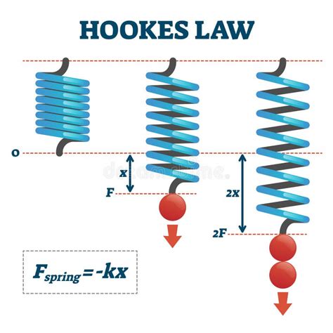 Spring Constant Hookes Law - wintechmobiles.com