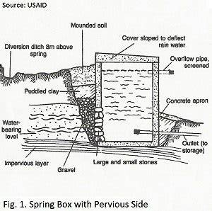 Spring Development and Seep Development - raincitystudios.com