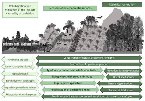 Spring Restoration and Protection in Urban and Rural Landscapes - raincitystudios.com