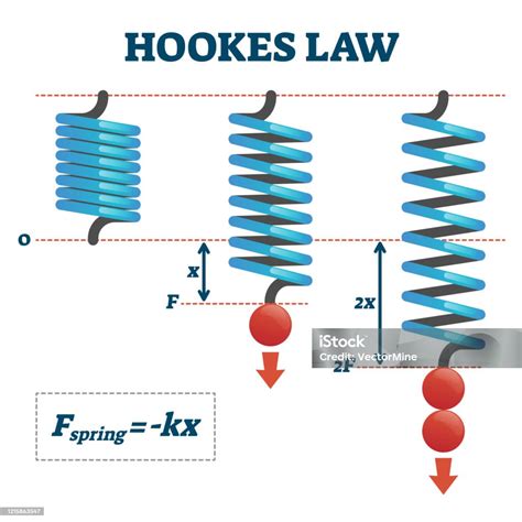 Spring Set Hookes Law Physics - wintechmobiles.com