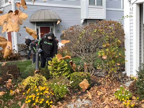 Spring Yard Cleanups – Peoria / Surprise Winter ... - balustradellc