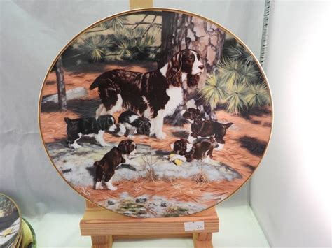 SPRINGER SPANIELS PLATE CLASSIC SPORTING DOGS PLATE …