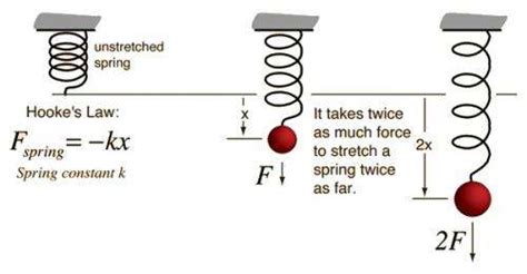 Springs and Hooke's Law - wintechmobiles.com