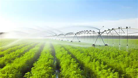 Sprinkler Irrigation Systems | Netafim - raincitystudios.com