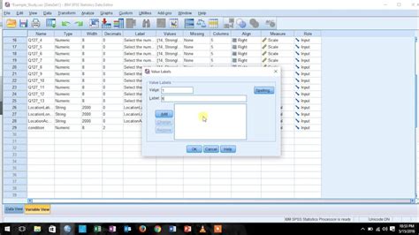 SPSS- How to get a Qualtrics Data file ready for Analyses