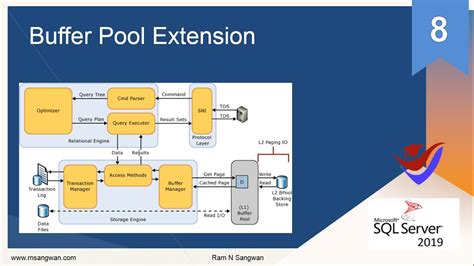 SQL Server Buffer Pool in action
