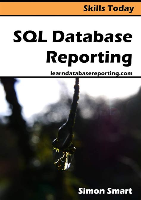 Read Sql Database Reporting Skills Today By Simon Smart