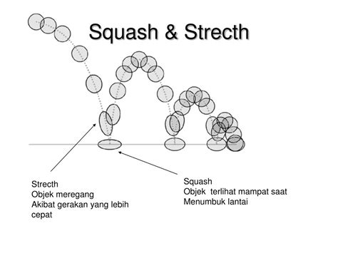 Squash And Stretch Adalah - muktibox.com