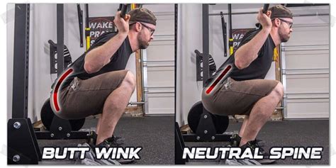 Squat Biomechanics: Butt Wink - Bret Contreras - balustradellc