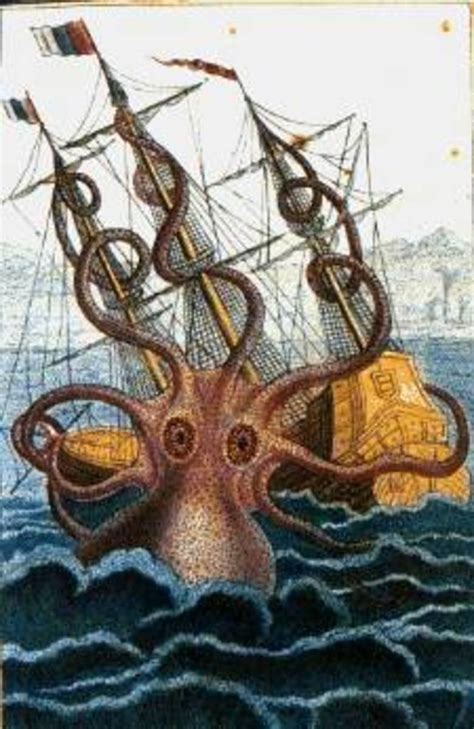 Squid Myths: From Kraken to Cthulhu - HubPages - balustradellc
