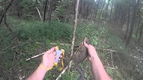 Squirrel Hunting with Slingshots - balustradellc