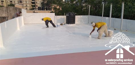 SS WATERPROOFING SERVICES - coolestguyplanet.net