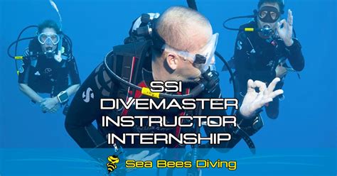 SSI Divemaster / Instructor Internship Program - Sea Bees Diving