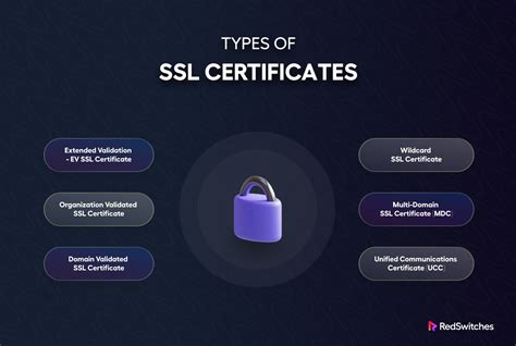 SSL Certificate Guide: Overview, Types, and Detailed Steps for ... - coolestguyplanet.net