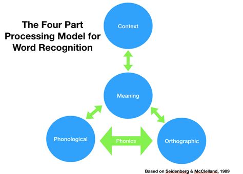SST3 Literacy The FourPart Processing Model