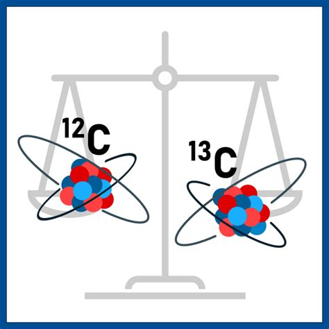 STABLE ISOTOPE ANALYSIS - Wiley Online Library - wintechmobiles.com
