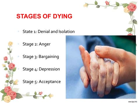 Stages of Dying | Health Psychology - Lumen Learning - balustradellc