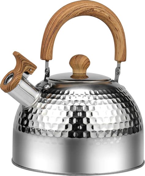 Stainless steel teapot, whistling kettle for gas stoves, ideal for ... - raincitystudios.com