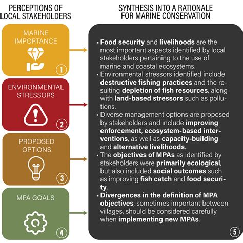 Stakeholder engagement and conservation outcomes in marine protected ... - raincitystudios.com