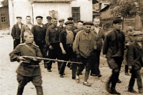 Stalin’s Postwar Purges: Ethnic Cleansing and the Consolidation of ... - wintechmobiles.com