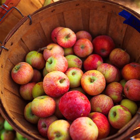 STALLS – Berwick Farmers market