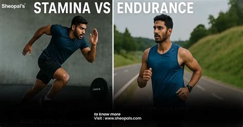Stamina vs Endurance: The Differences Explained - balustradellc
