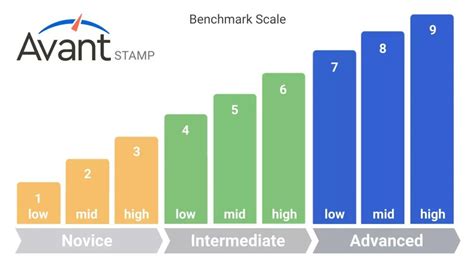 STAMP Benchmarks & Rubric Guide Avant Assessment