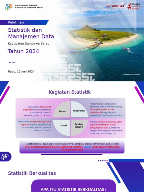 Standar Data Statistik 2024 - Badan Pusat Statistik … - wintechmobiles.com