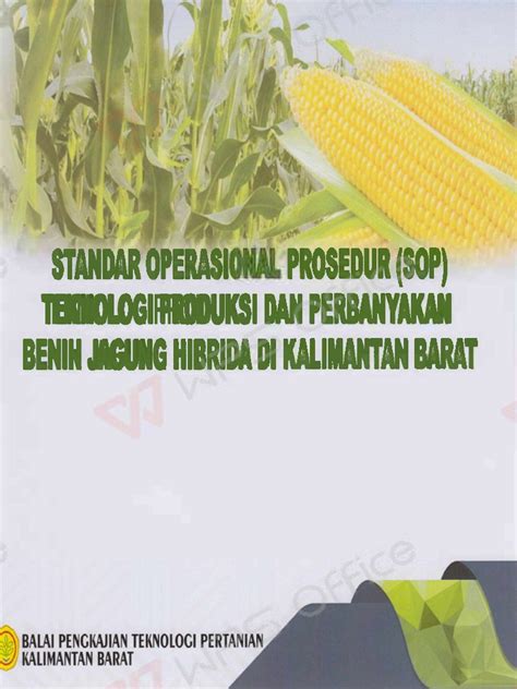 STANDAR OPERASK PROSEDUR (SOP) TEKNOLOGIPRODUKSI BENIN JAGUNG HIBRIDA ... - balustradellc