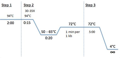 Standard PCR Protocol - MilliporeSigma - muktibox.com