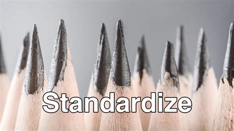 STANDARDIZE Definition & Meaning - wintechmobiles.com