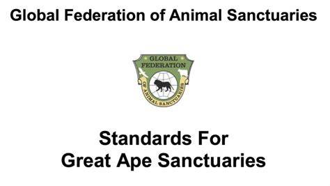 Standards For Great Ape Sanctuaries - raincitystudios.com
