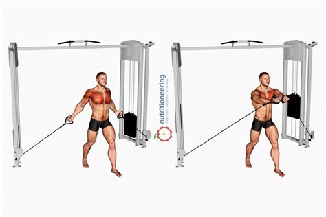Standing Cable Chest Flyes Variation | How to Perform - balustradellc