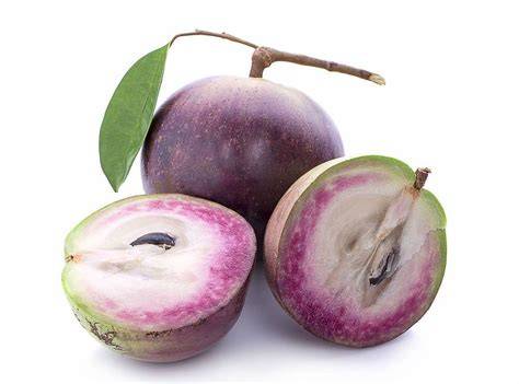 Star apple | Tropical Fruit, Caribbean, Evergreen - raincitystudios.com