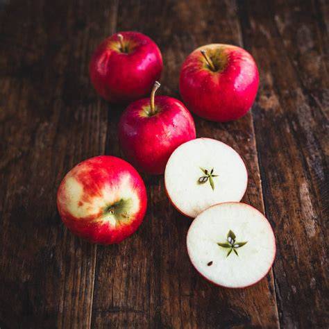 Star Apple by Julia Morton - Growables - raincitystudios.com