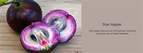 Star Apple facts and health benefits - raincitystudios.com