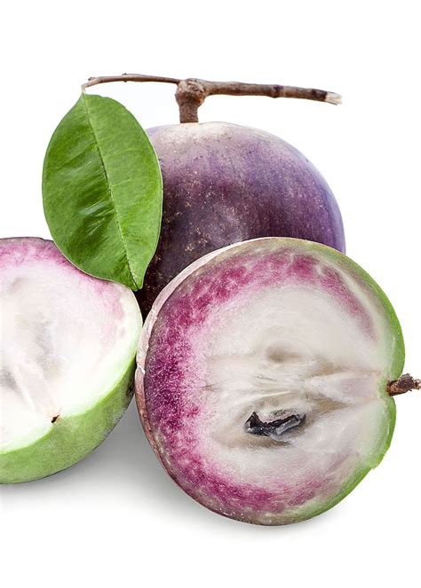 Star apple fruit | trees & leaves | Nutrition facts | Whip … - raincitystudios.com