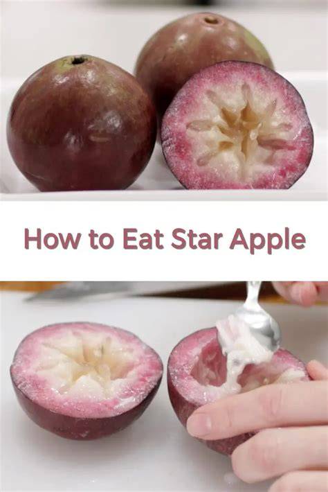 Star Apple How to Eat It And What does it Taste Like - raincitystudios.com