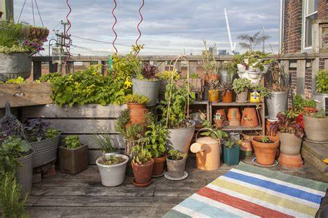 Start a Rooftop Container Garden - Brooklyn Botanic … - raincitystudios.com