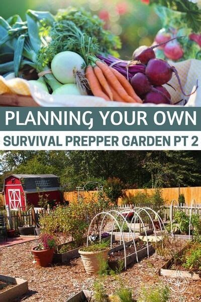 Start A Survival Garden | Complete Guide For Preppers - balustradellc