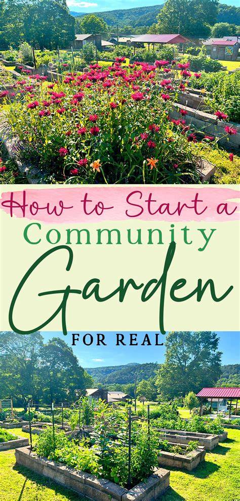 Starting a Community Garden | Green Community … - raincitystudios.com