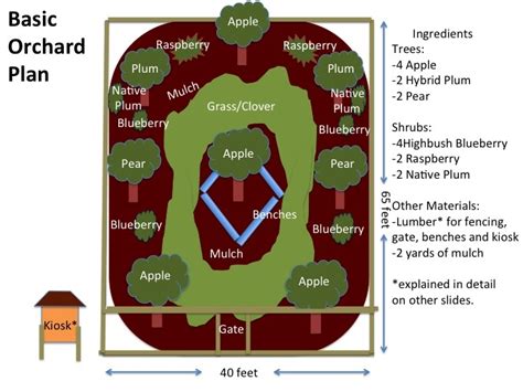 Starting a Home Orchard: Plan Ahead - Planet Natural - raincitystudios.com