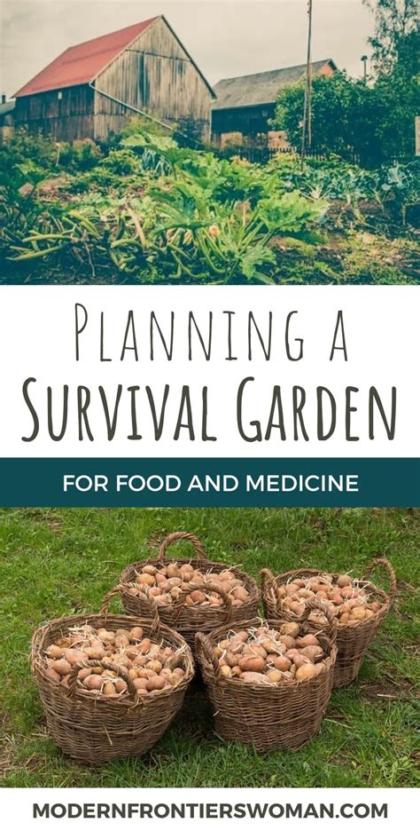 Starting a Survival Garden at Home: A Comprehensive Guide - balustradellc