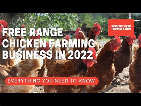 Starting Free Range Chicken Farming Business in … - balustradellc