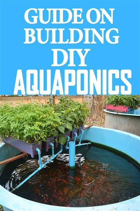 Starting out in aquaponics | Farmstyle Australia - raincitystudios.com