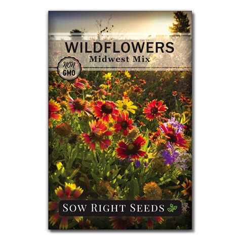 Starting Wildflowers From Seed - Fine Gardening - raincitystudios.com