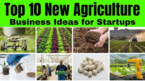 Startup Business Ideas with Yield Farming - coolestguyplanet.net